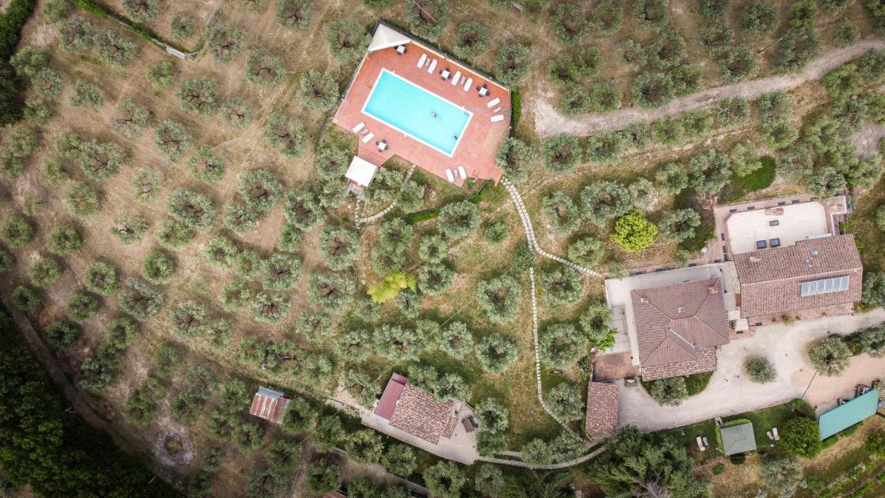 Agriturismo La Rocca Assisi Petrignano Exterior foto
